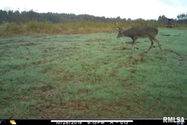 $1,475,000 | 1501 Duncan Road, Stonefort, IL 62987