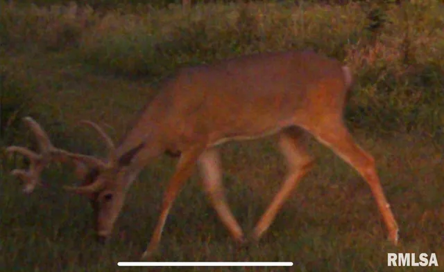 $1,475,000 | 1501 Duncan Road, Stonefort, IL 62987