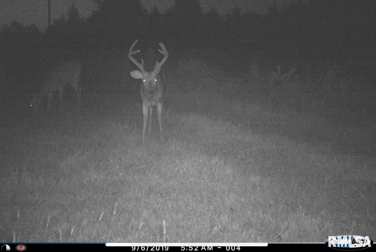 1501 Duncan Road Stonefort, IL 62987 - Photo 94 of 100