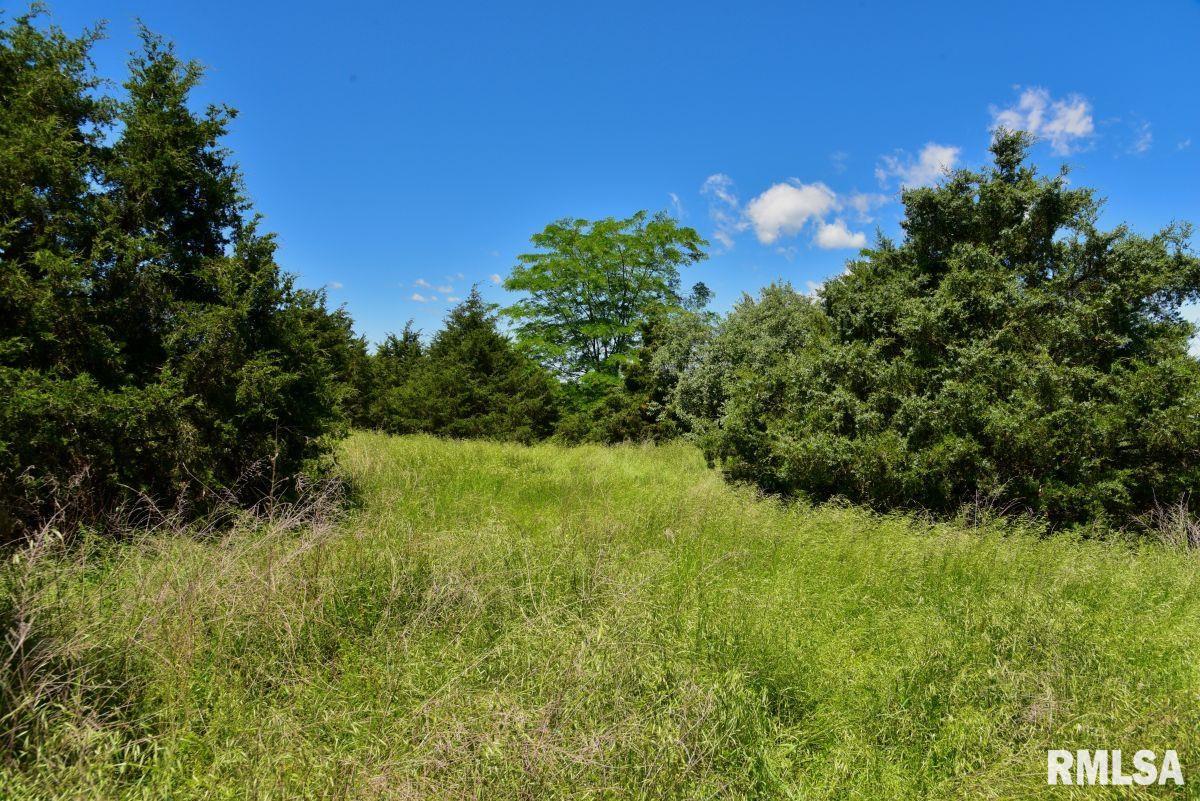 1501 Duncan Road Stonefort, IL 62987 - Photo 100 of 100