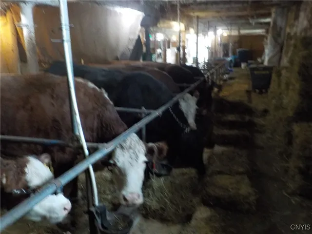 $598,900 | 10846 Baker Road, Cato, NY 13033