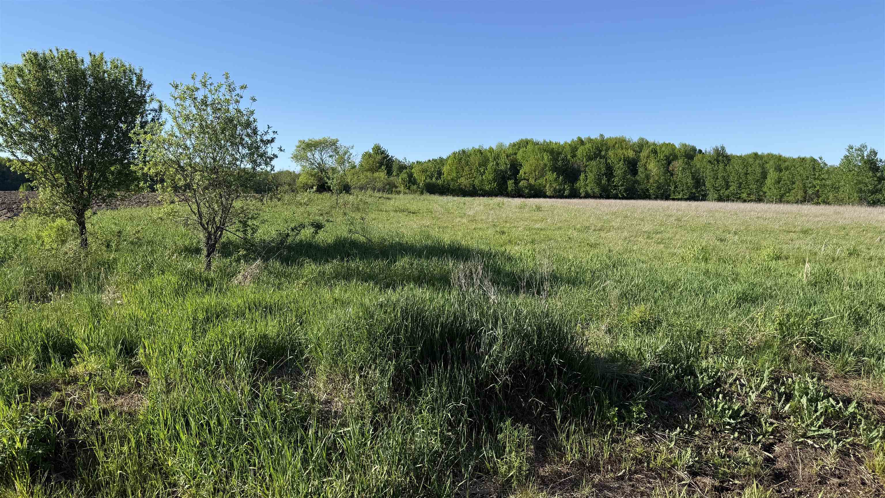 Lot 1 County Road Z Ringle, WI 54471 - Photo 17 of 22