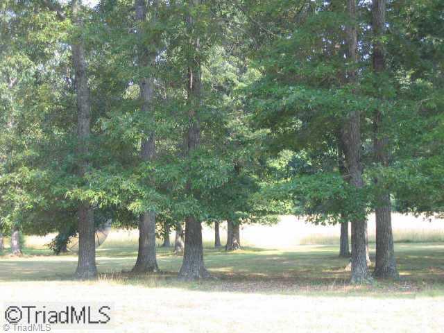 6002 Monnett Road Julian, NC 27283 - Photo 3 of 5 Other. Side yard
