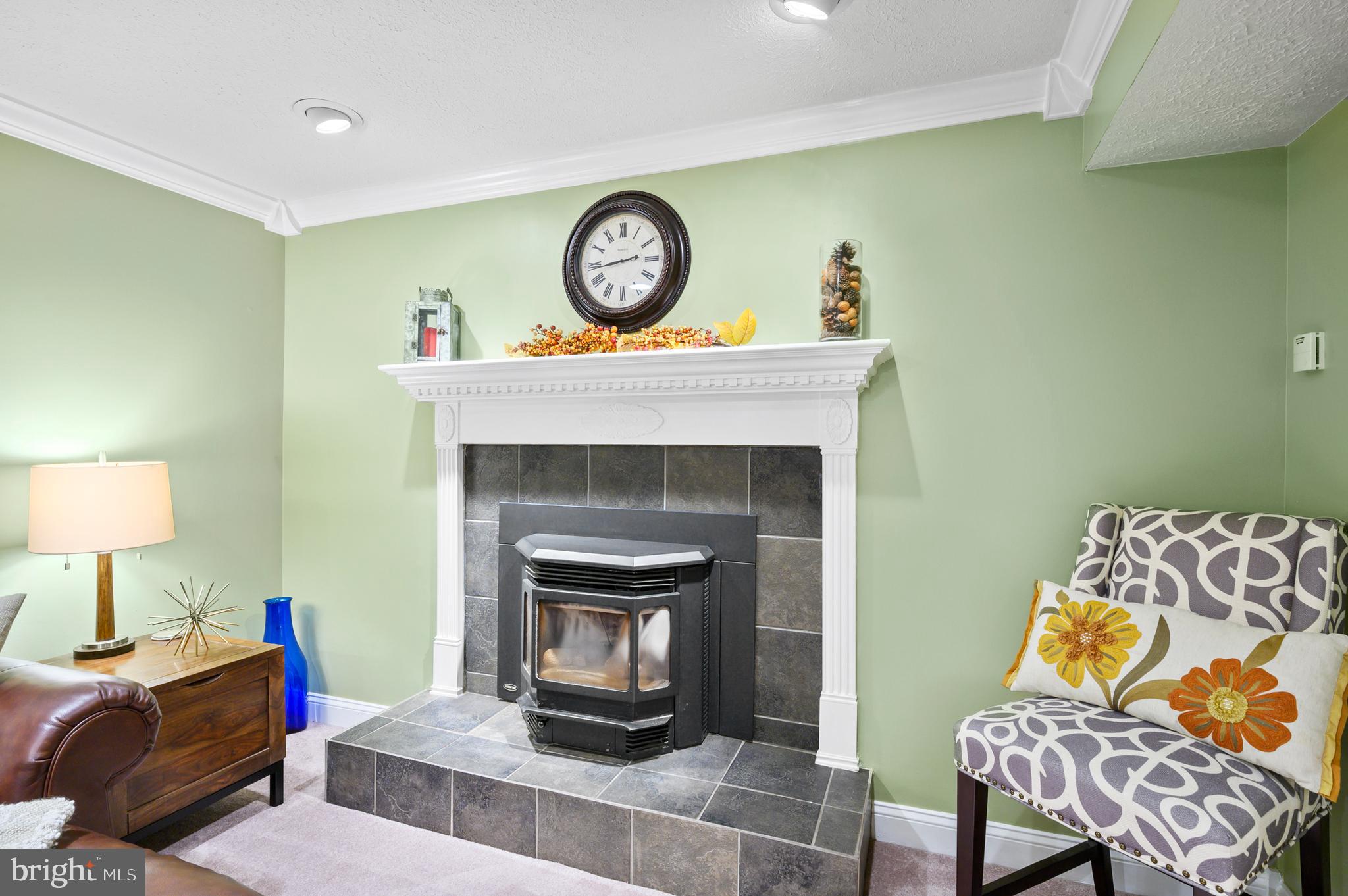 3714 Nile Road Davidsonville, MD 21035 - Photo 21 of 38 Family Room Fireplace Insert