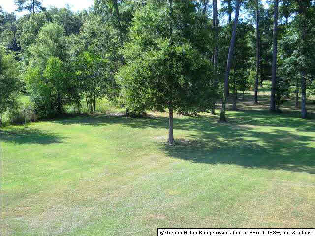 12799 Hammack Road Denham Springs, LA 70726 - Photo 20 of 27 Gallery Image 20