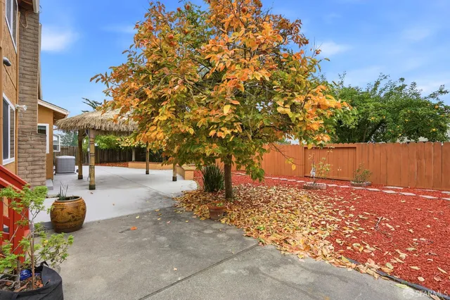a street view with tall buildings