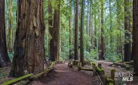 $374,999 | 4290 Cazadero Highway, Cazadero, CA 95421