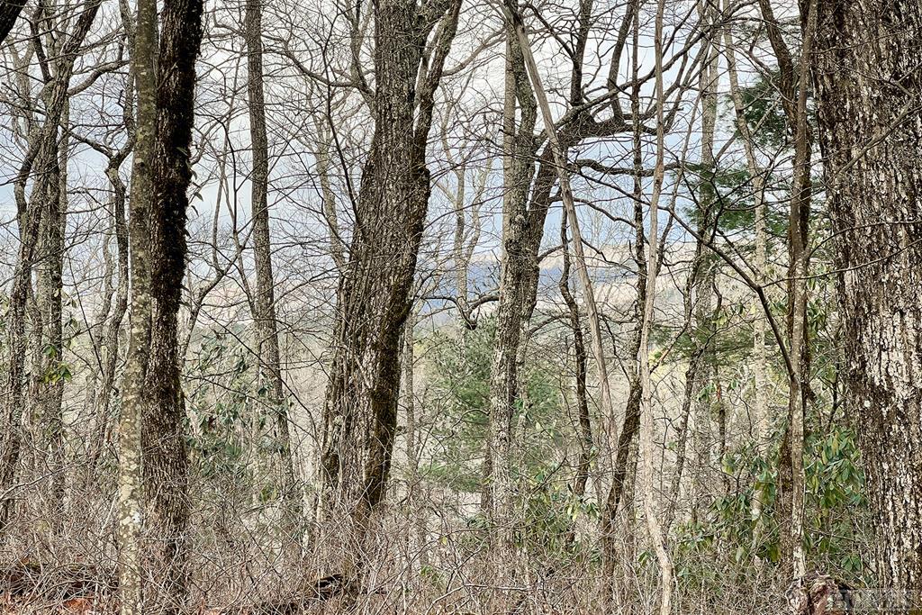 56 Ramble Rdg Road Cashiers, NC 28717 - Photo 14 of 40 Gallery Image 14