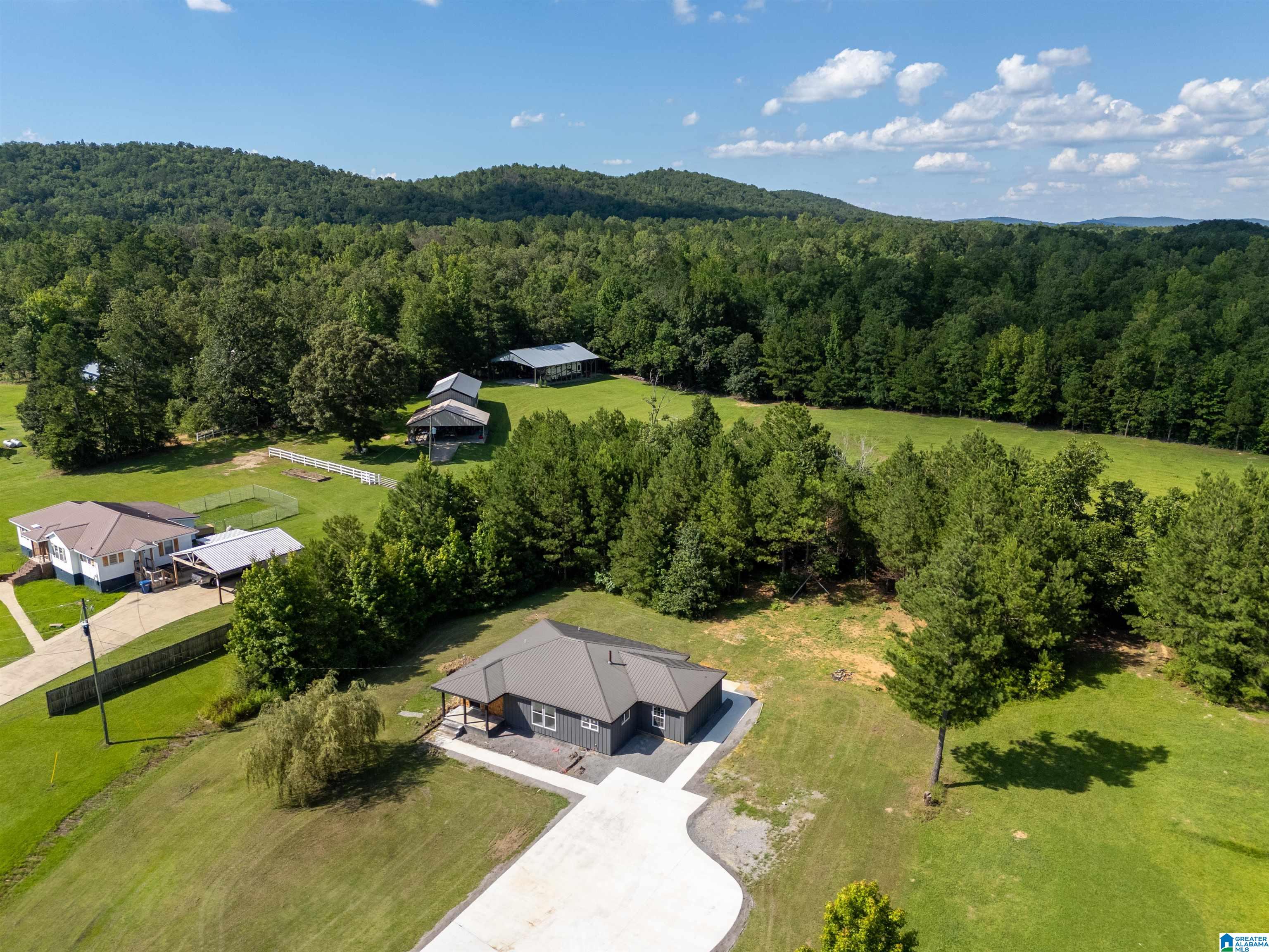 2596 Reads Mill Road Wellington, AL 36279 - Photo 3 of 29