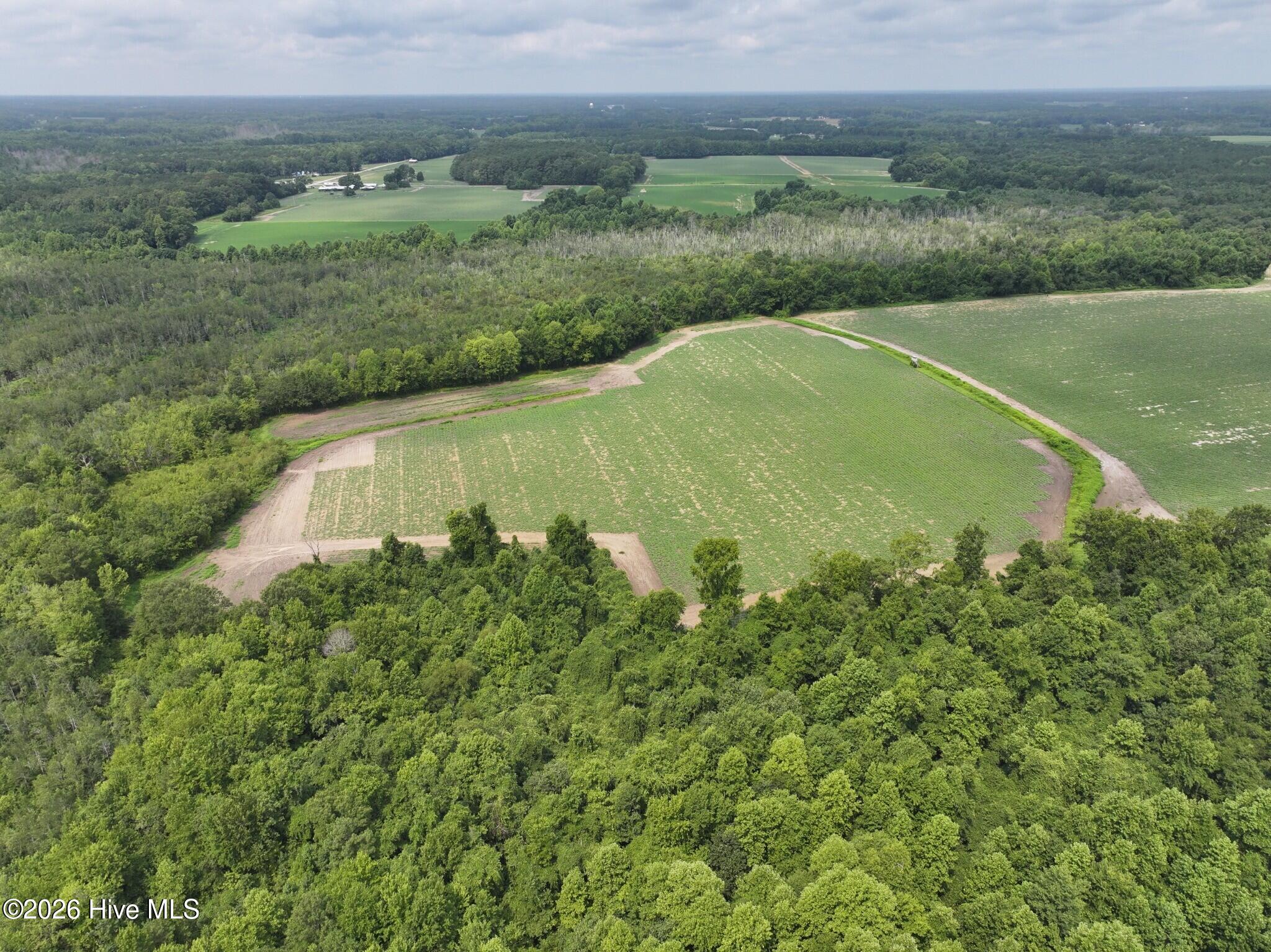 0 Huckleberry Road Lucama, NC 27851 - Photo 3 of 18 Gallery Image 3
