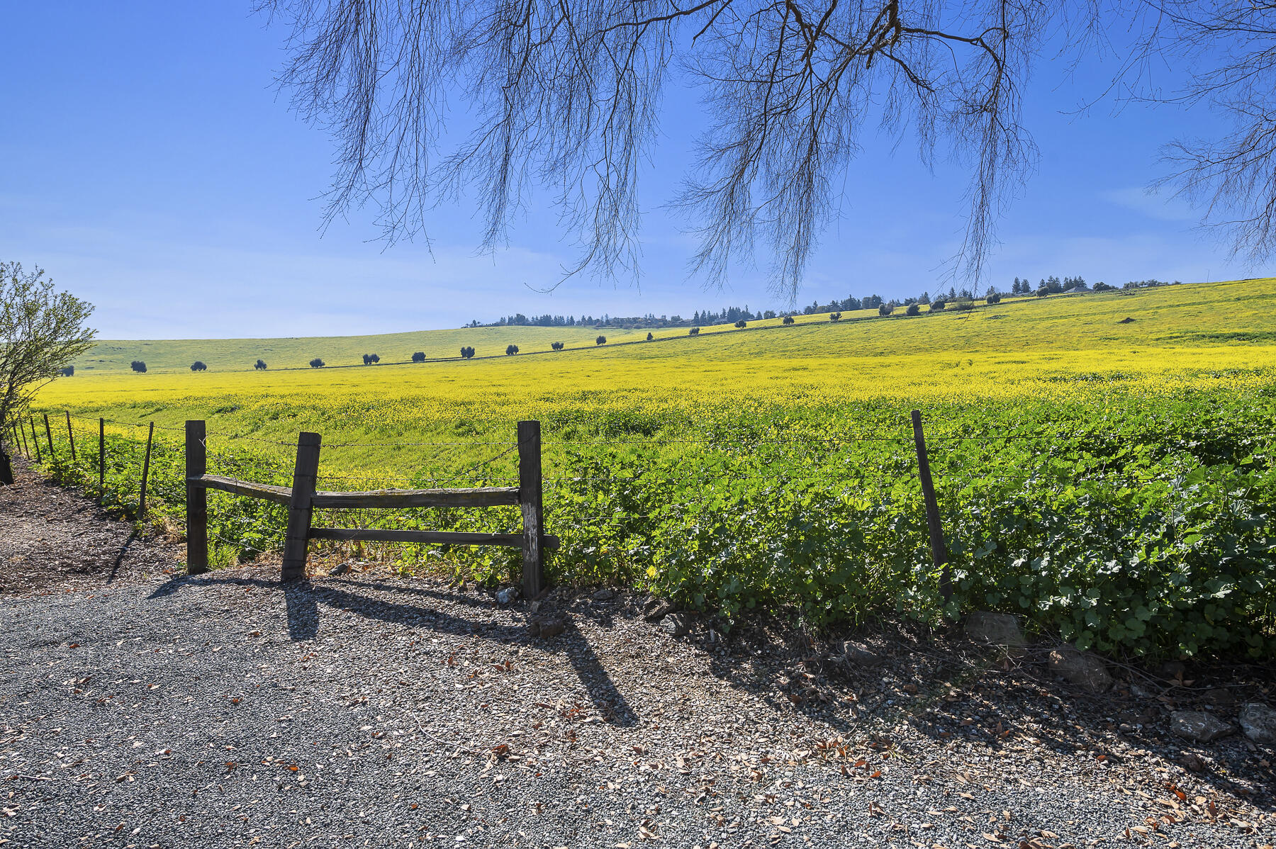 Valley View Drive Exeter, CA 93221 - Photo 4 of 8 1