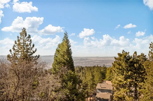 a view of a city with tall trees