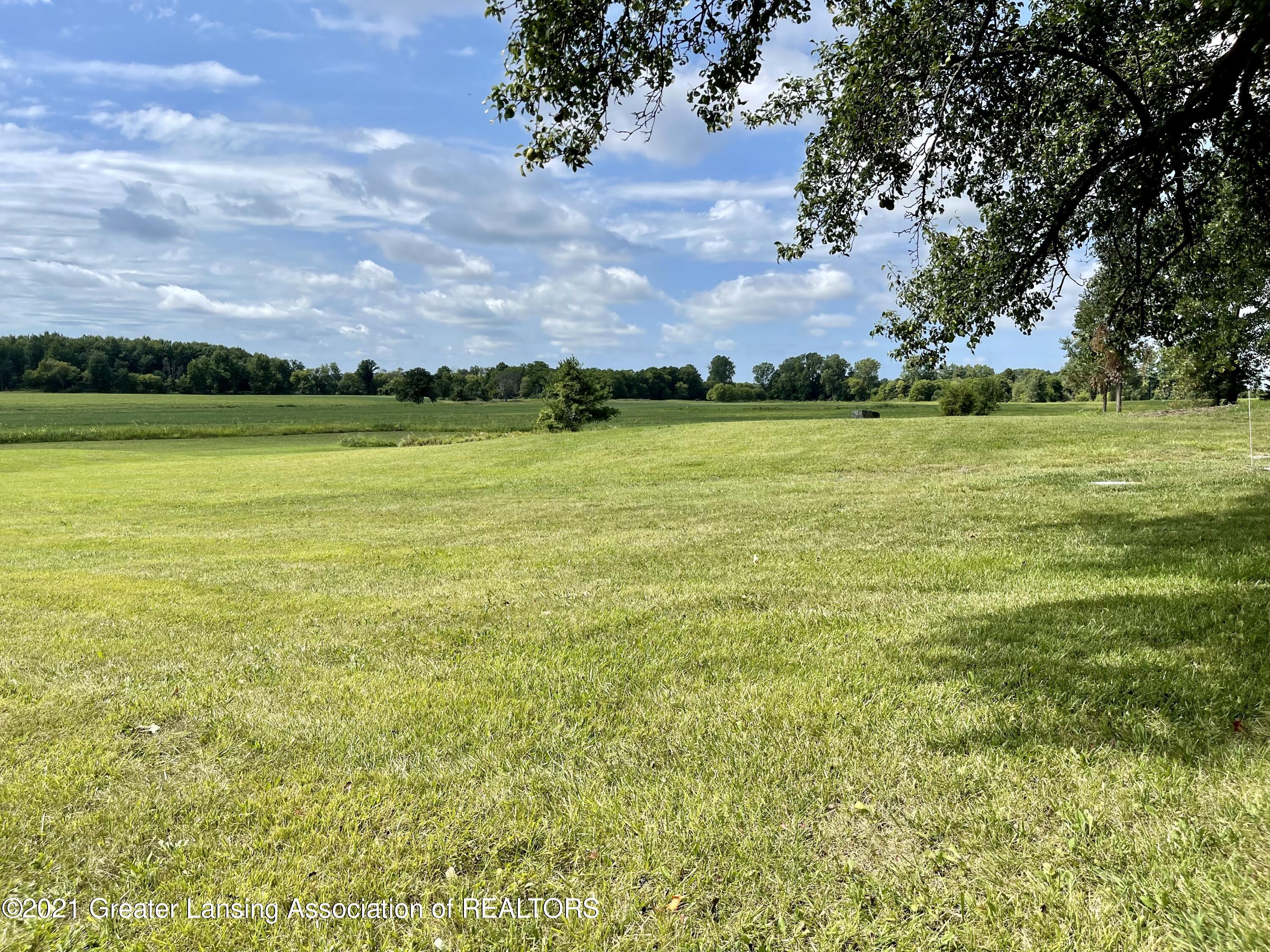 3288 South Dewitt Road St. Johns, MI 48879 - Photo 10 of 42 Yard