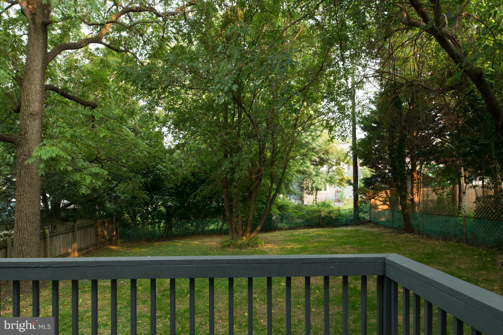 707 Hollen Road Baltimore, MD 21212 - Photo 24 of 30 Back Yard View!