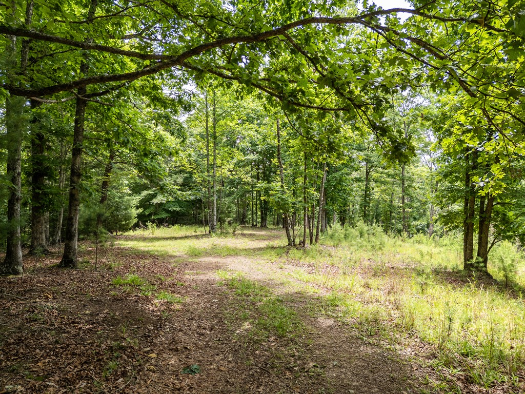2 Stormy Ridge Brasstown, NC 28902 - Photo 2 of 16