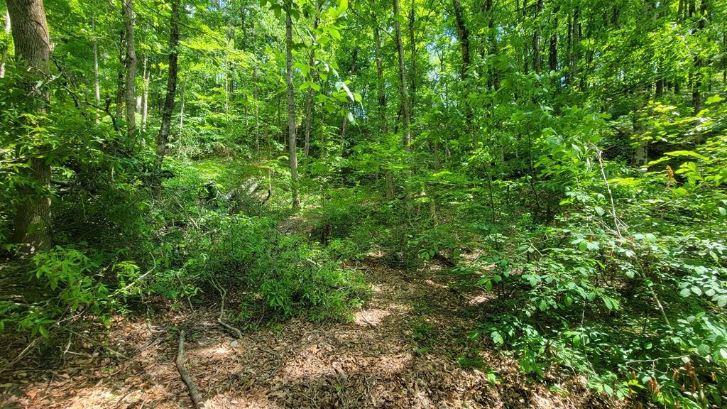 0 Black Oak Ridge Road Sevierville, TN 37876 - Photo 7 of 14