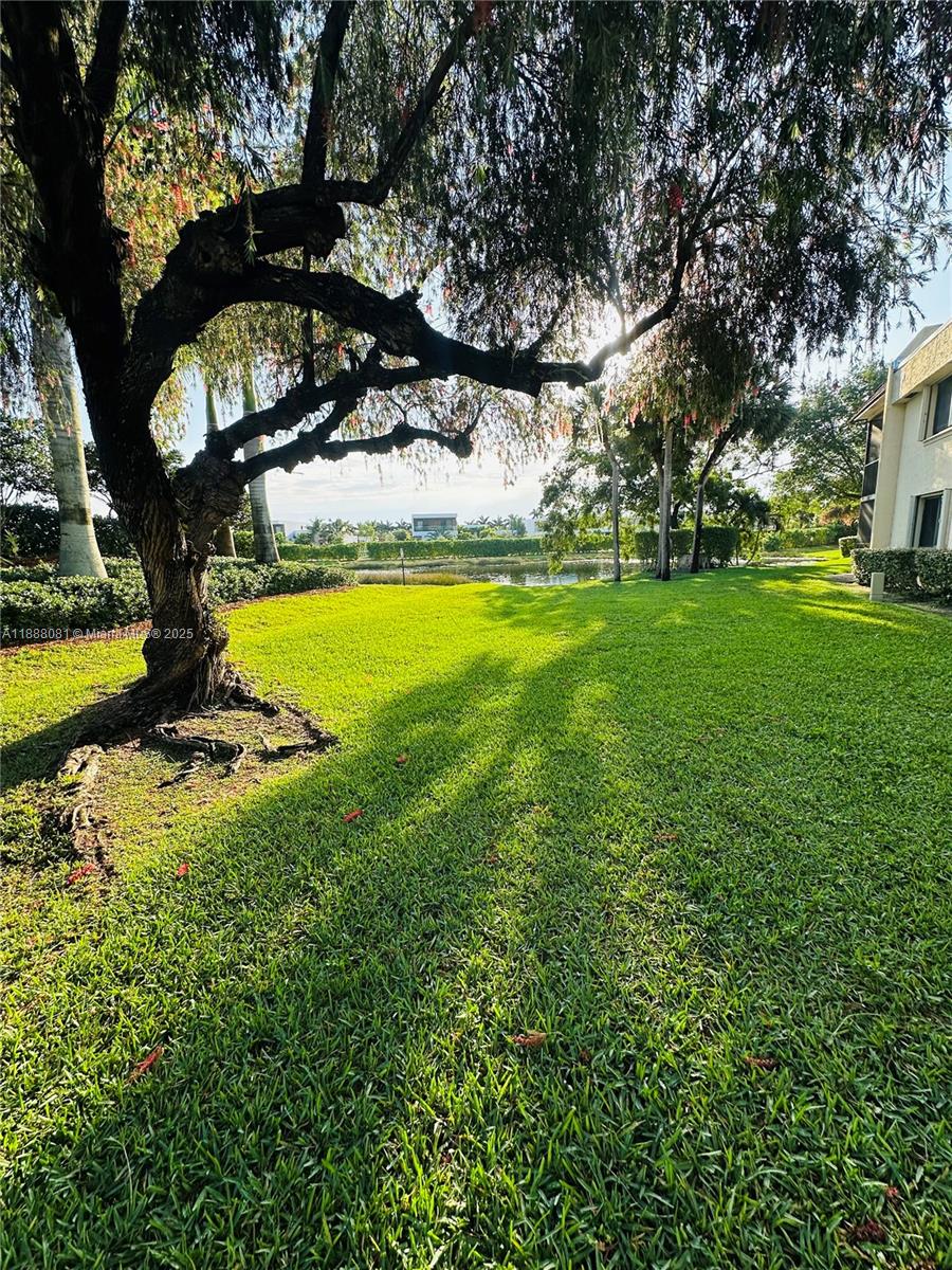 16491 Blatt Boulevard, Unit 202 Weston, FL 33326 - Photo 21 of 21 a view of a yard with a tree