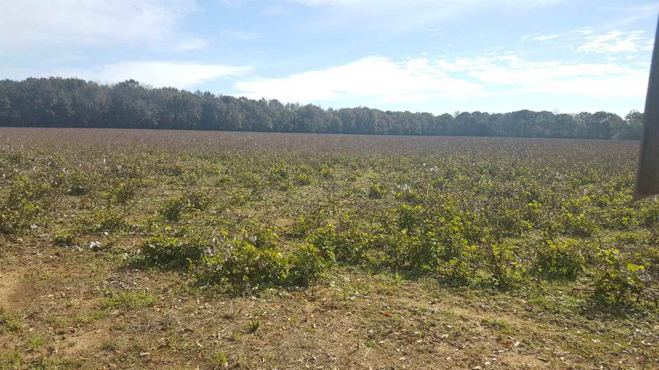36 East County Road Summerdale, AL 36580 - Photo 7 of 7