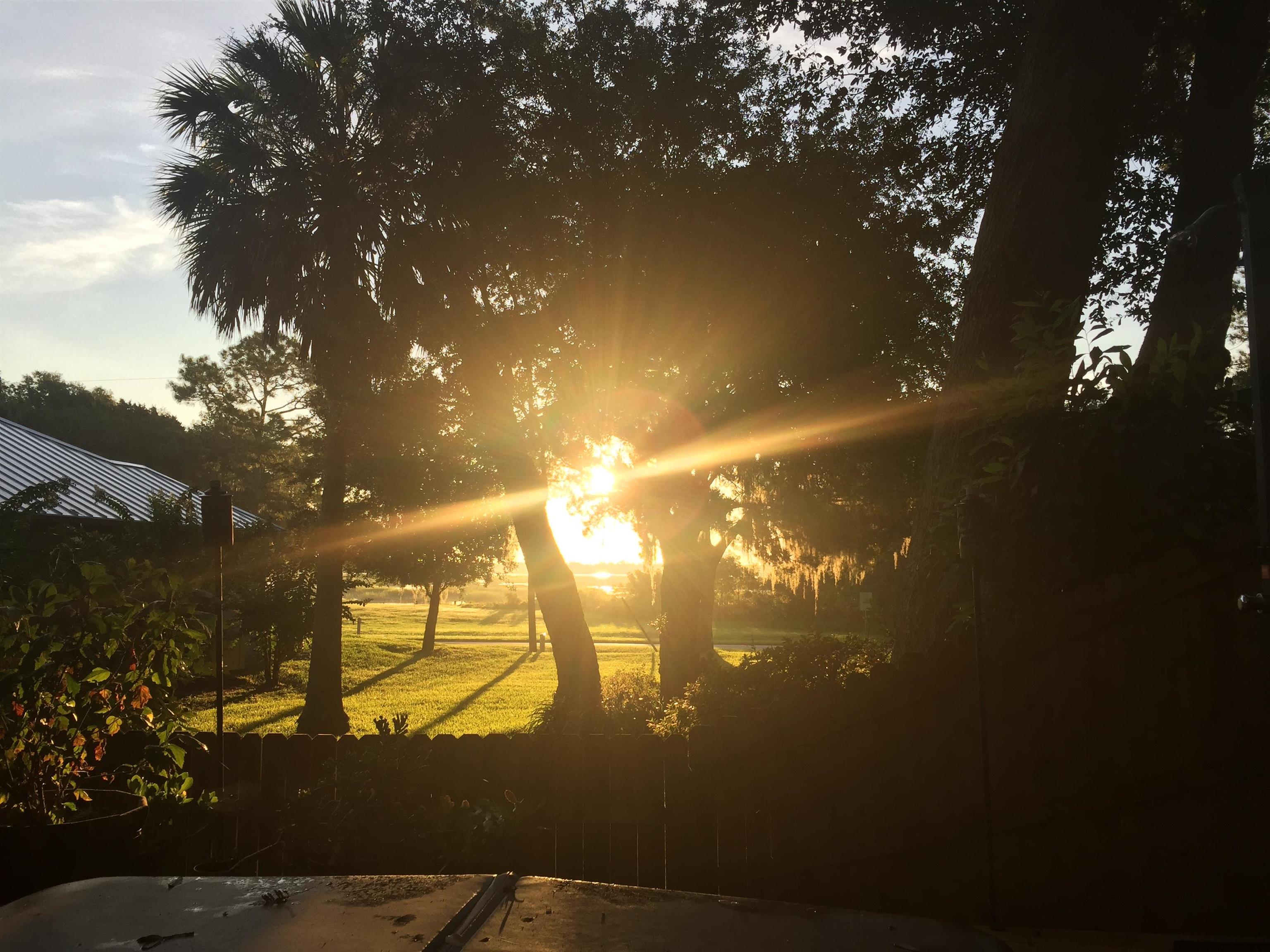 143 Egret Road St. Augustine, FL 32086 - Photo 45 of 55