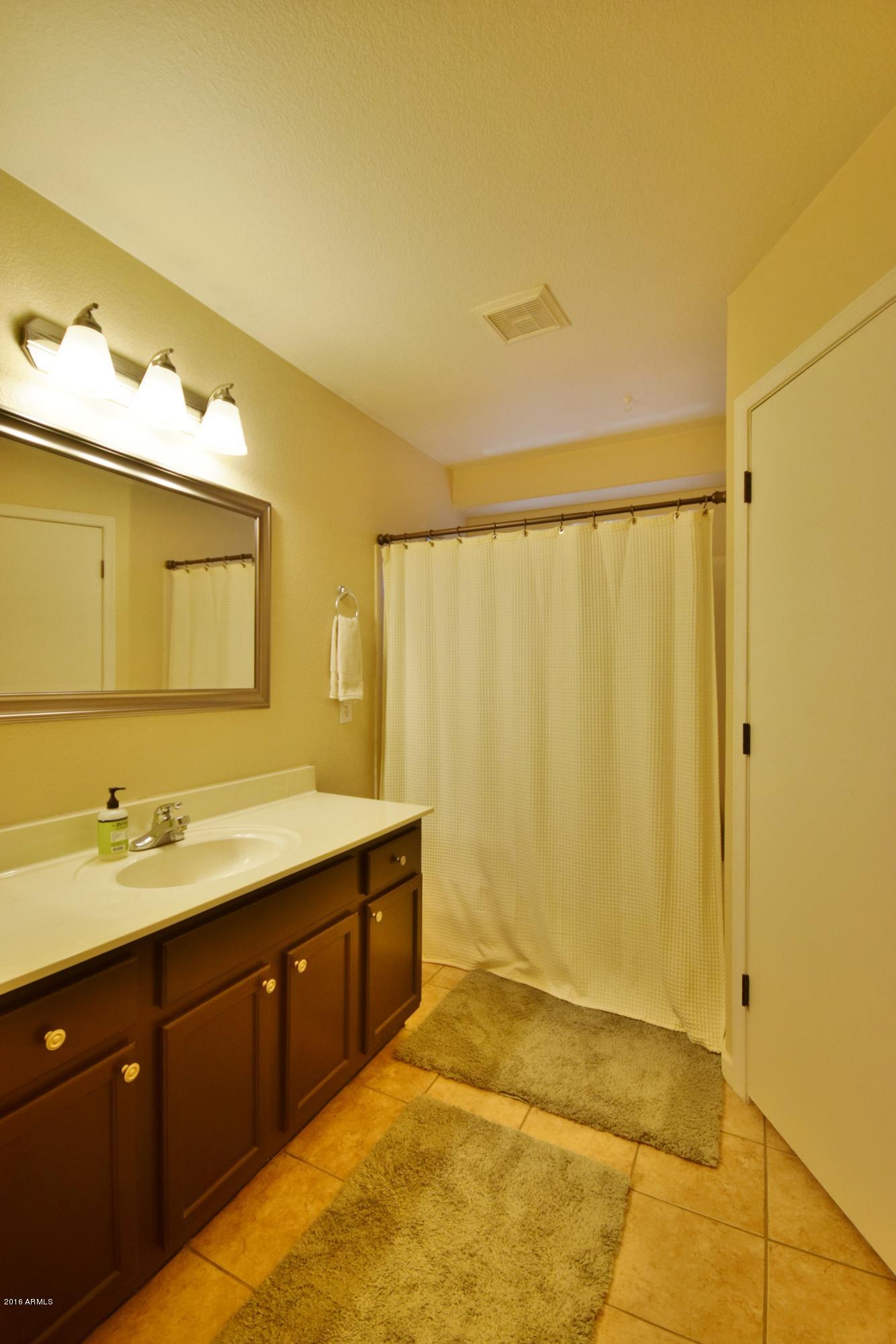 1713 East Del Rio Street Gilbert, AZ 85295 - Photo 10 of 13 Bathroom