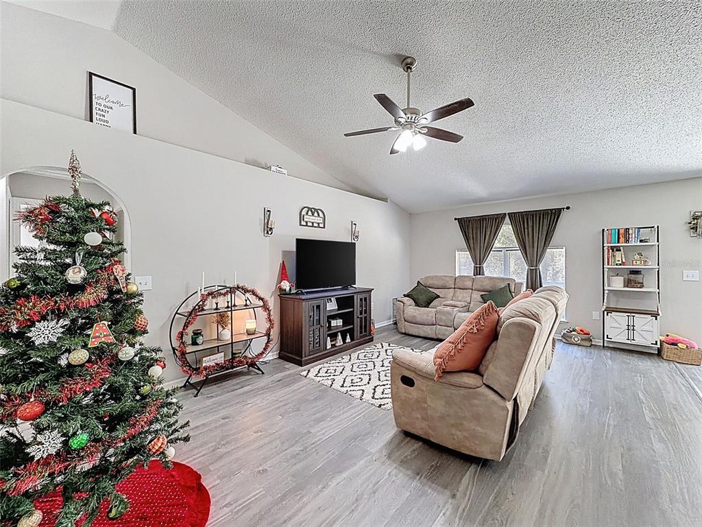 16061 Cave Swallow Road Brooksville, FL 34614 - Photo 14 of 47 a living room with furniture a flat screen tv and a potted plant