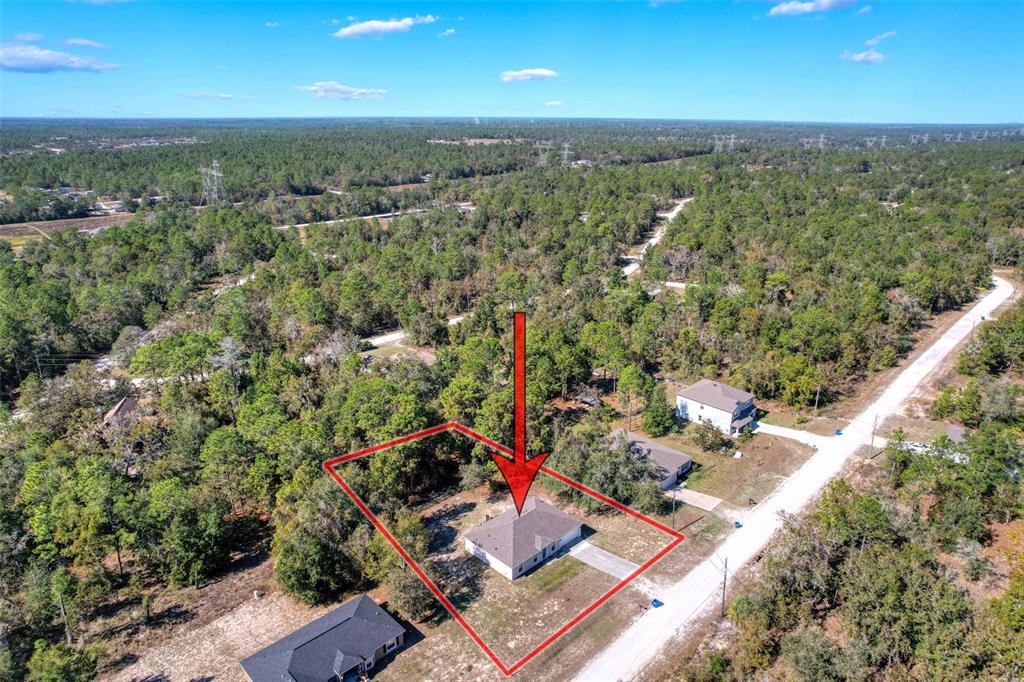 16061 Cave Swallow Road Brooksville, FL 34614 - Photo 2 of 47 an aerial view of residential houses with outdoor space and trees