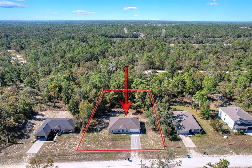 16061 Cave Swallow Road Brooksville, FL 34614 - Photo 46 of 47