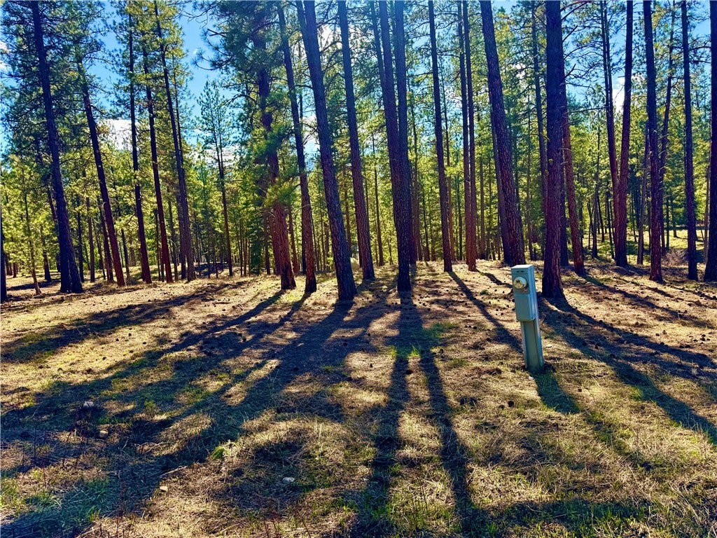 Nine 9 Mile Road Huson, MT 59846 - Photo 27 of 28 Gallery Image 27