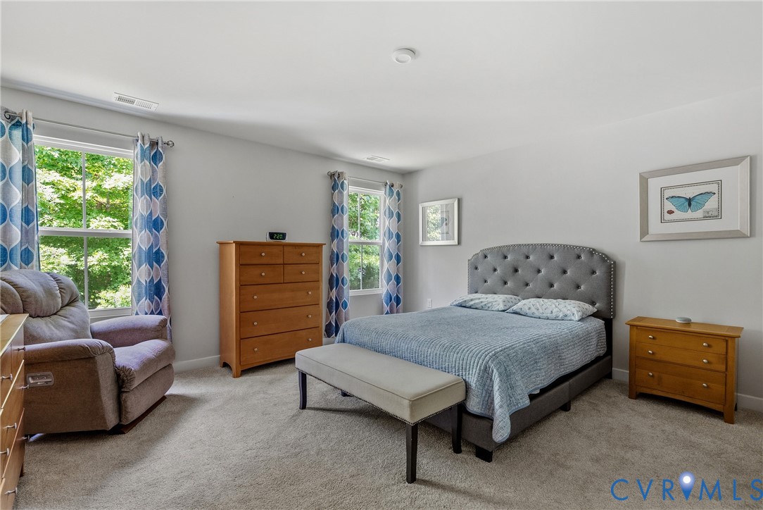 10306 Sun Ridge Lane Chesterfield, VA 23236 - Photo 30 of 46 Gallery Image 30