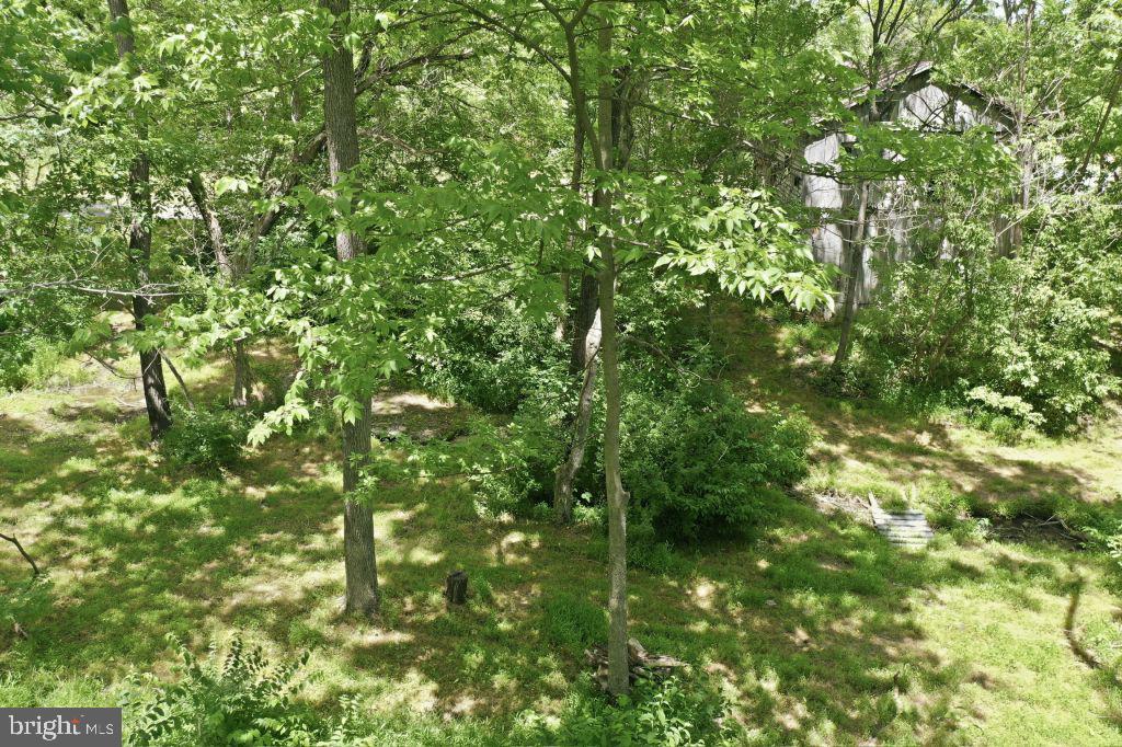 1511 Boliver Road Fort Valley, VA 22652 - Photo 53 of 65