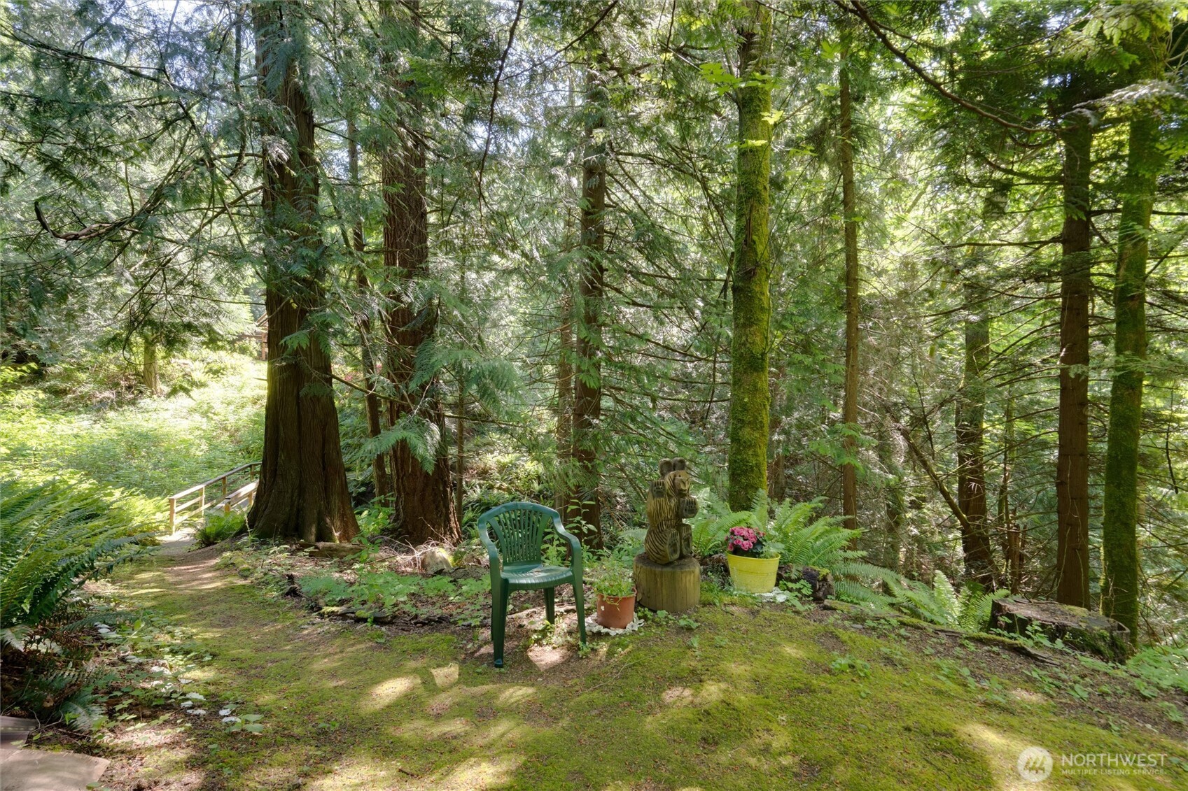 4315 Nordum Road Everson, WA 98247 - Photo 3 of 40 a view of a park with large trees
