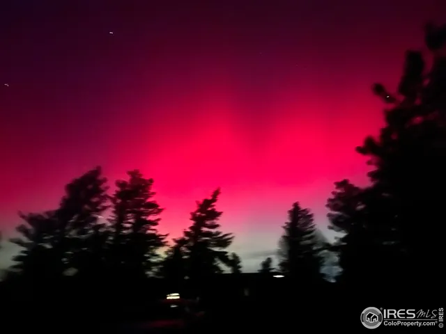 a view of a city with lots of trees