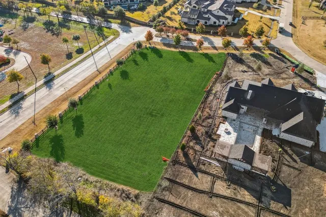 a view of a yard with plants