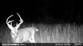 4 Lodge Road Potosi, MO 63664 - Photo 11 of 35