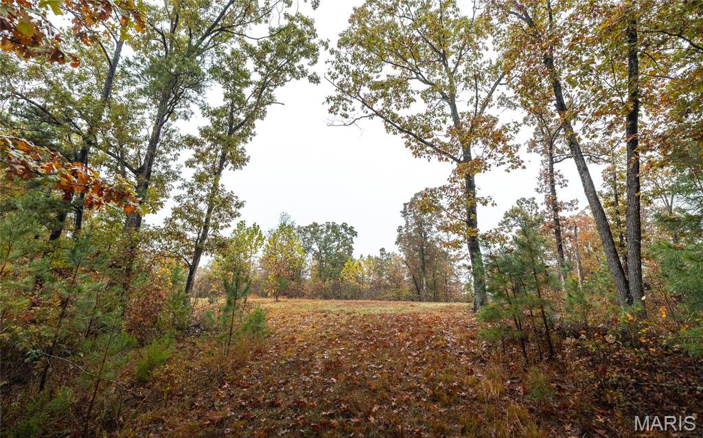 4 Lodge Road Potosi, MO 63664 - Photo 13 of 35