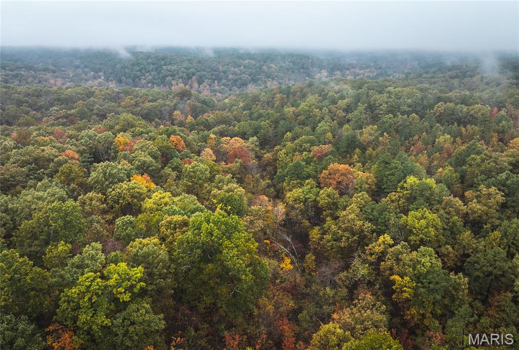 4 Lodge Road Potosi, MO 63664 - Photo 21 of 35