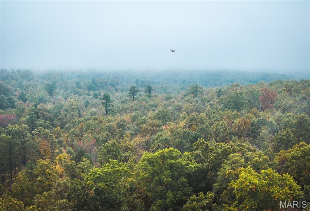 4 Lodge Road Potosi, MO 63664 - Photo 28 of 35