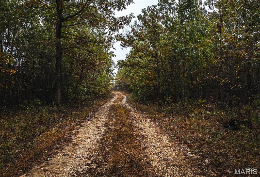 4 Lodge Road Potosi, MO 63664 - Photo 29 of 35