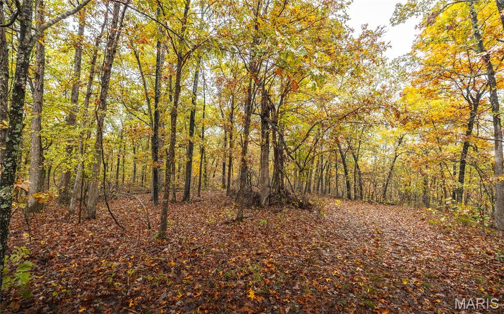 4 Lodge Road Potosi, MO 63664 - Photo 3 of 35