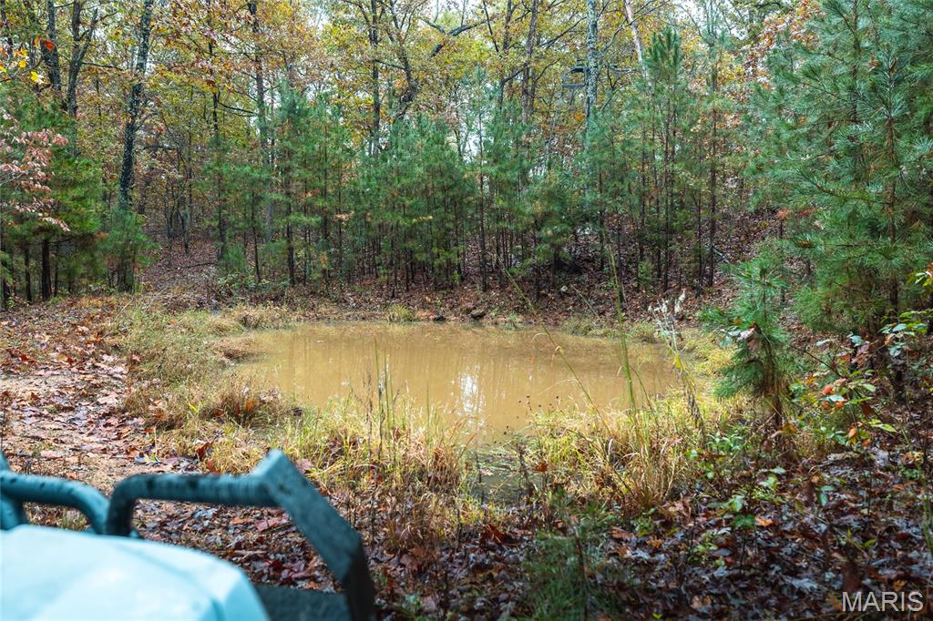 4 Lodge Road Potosi, MO 63664 - Photo 10 of 35