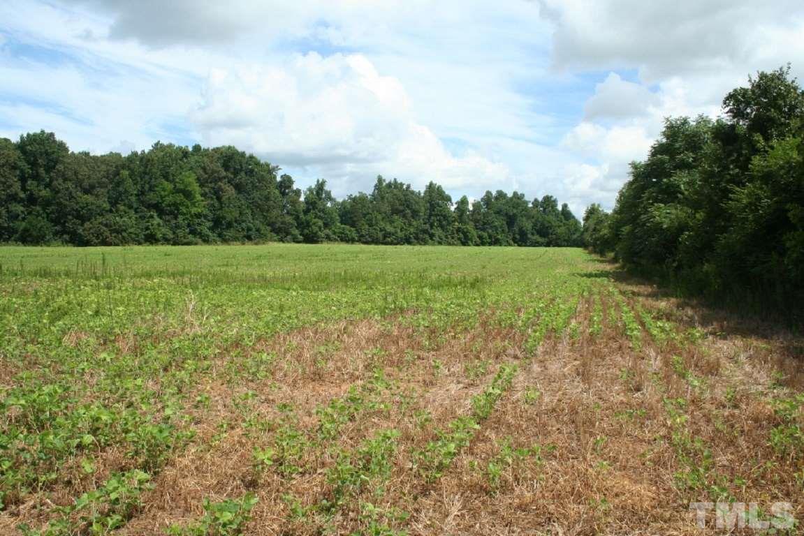 1 Hebron Church Road Mebane, NC 27302 - Photo 3 of 5 Gallery Image 3