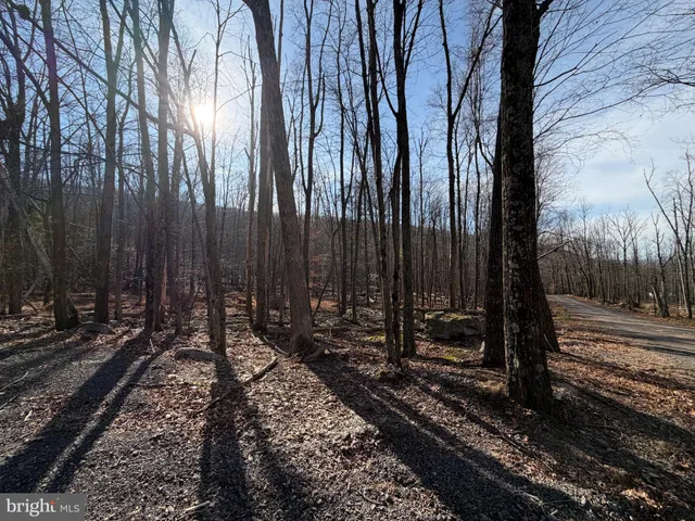 a view of a backyard of the house
