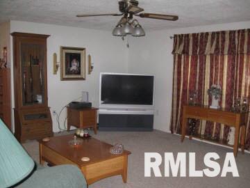 166 Greenview Road Centralia, IL 62801 - Photo 3 of 7 Gallery Image 3