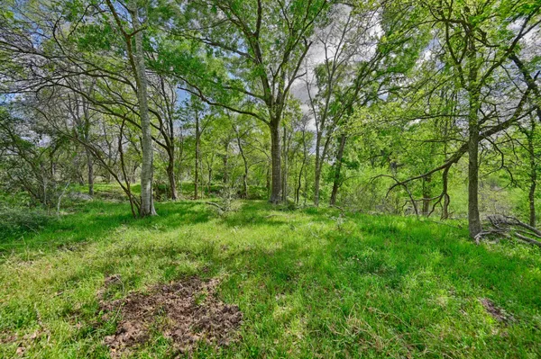 a view of backyard with green space