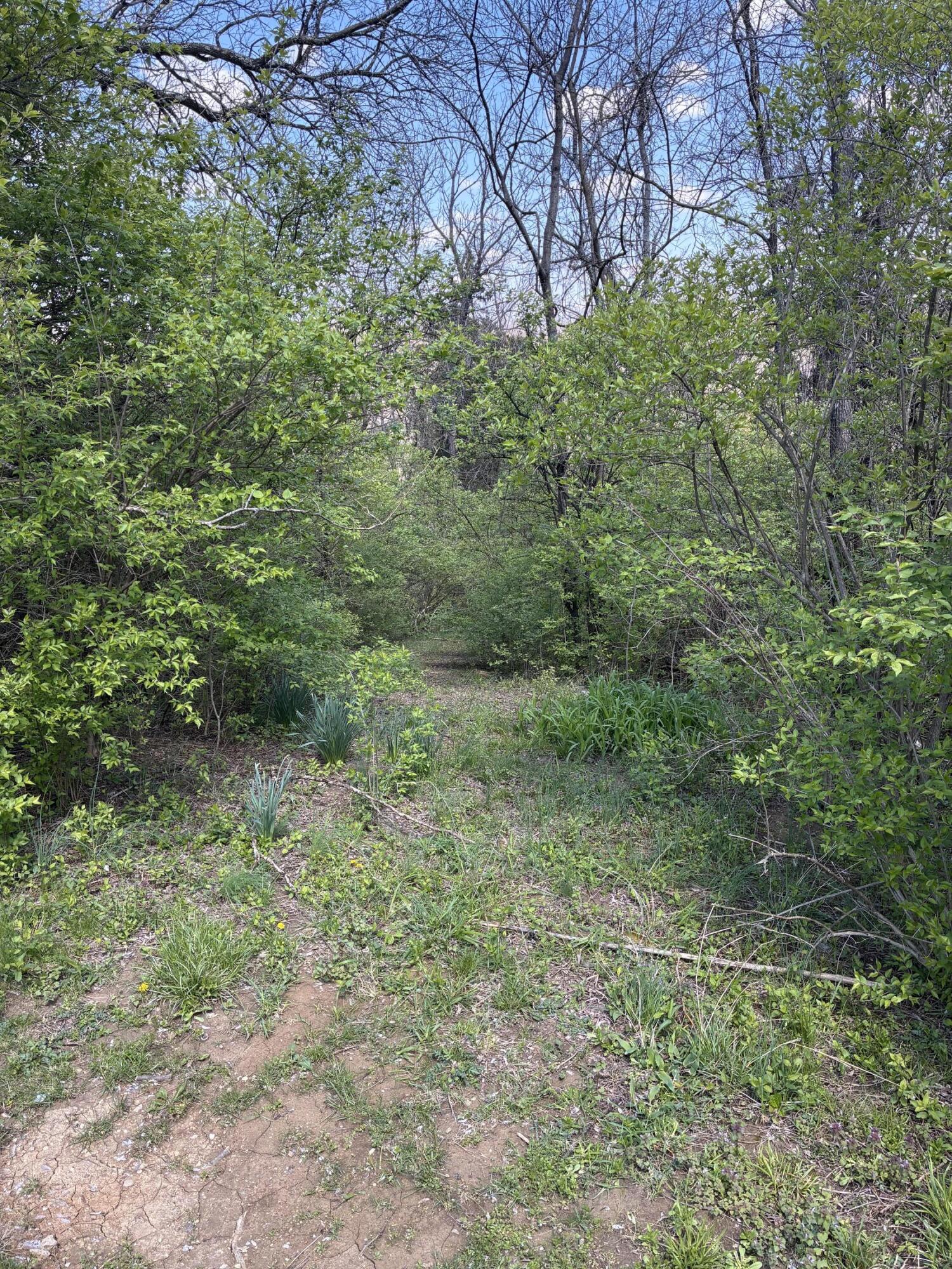 Acres Epperson Road Williamstown, KY 41097 - Photo 18 of 20 Gallery Image 18