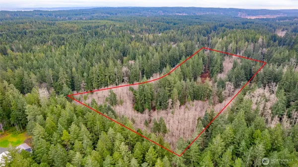 a view of a lush green and green yard