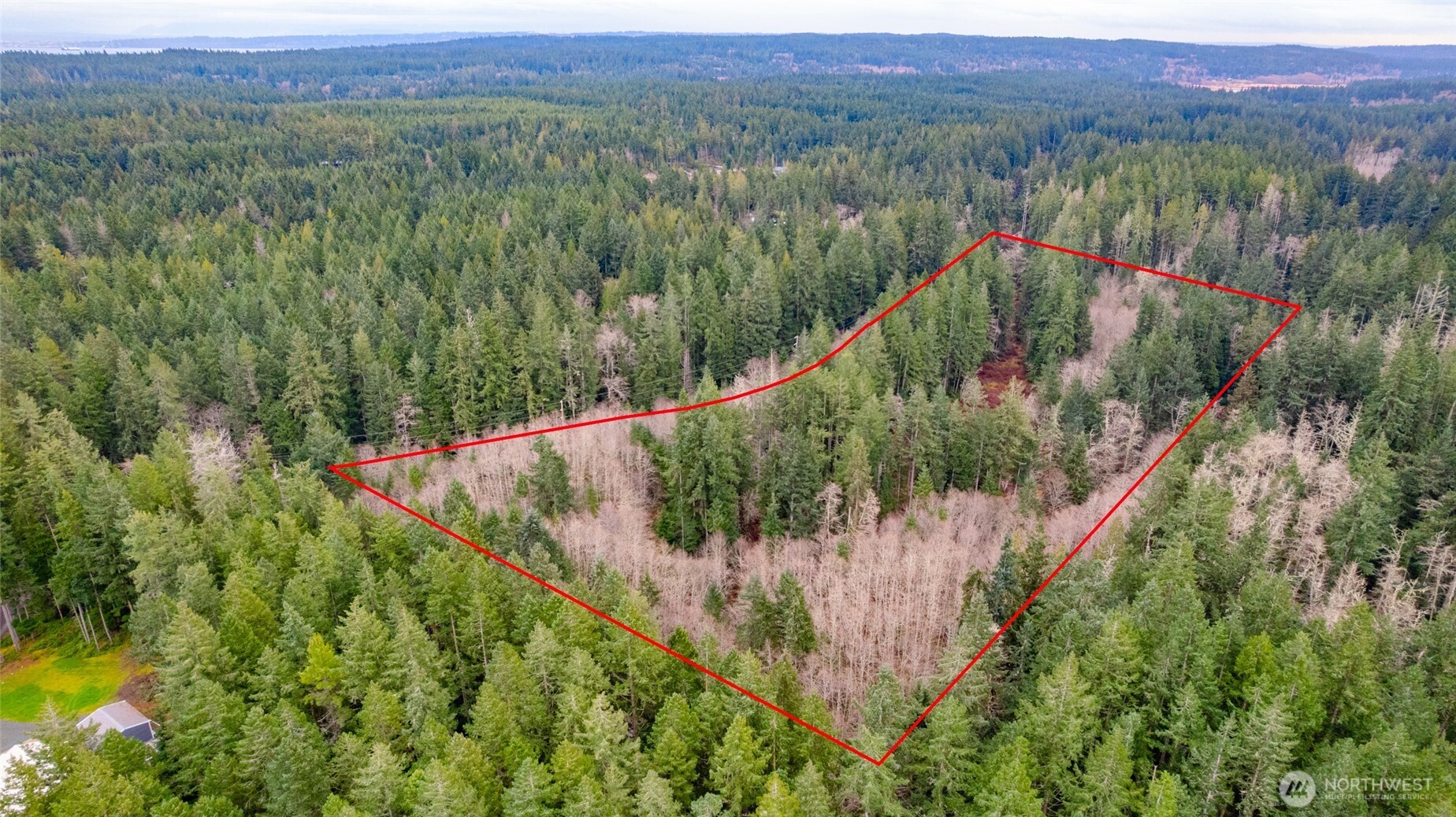 a view of a lush green and green yard