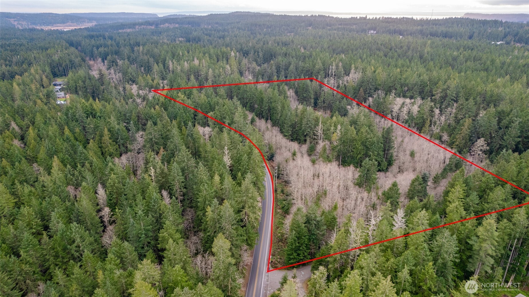 -xxx Coles Road Langley, WA 98260 - Photo 2 of 6 a view of a lush green forest with a mountain and trees