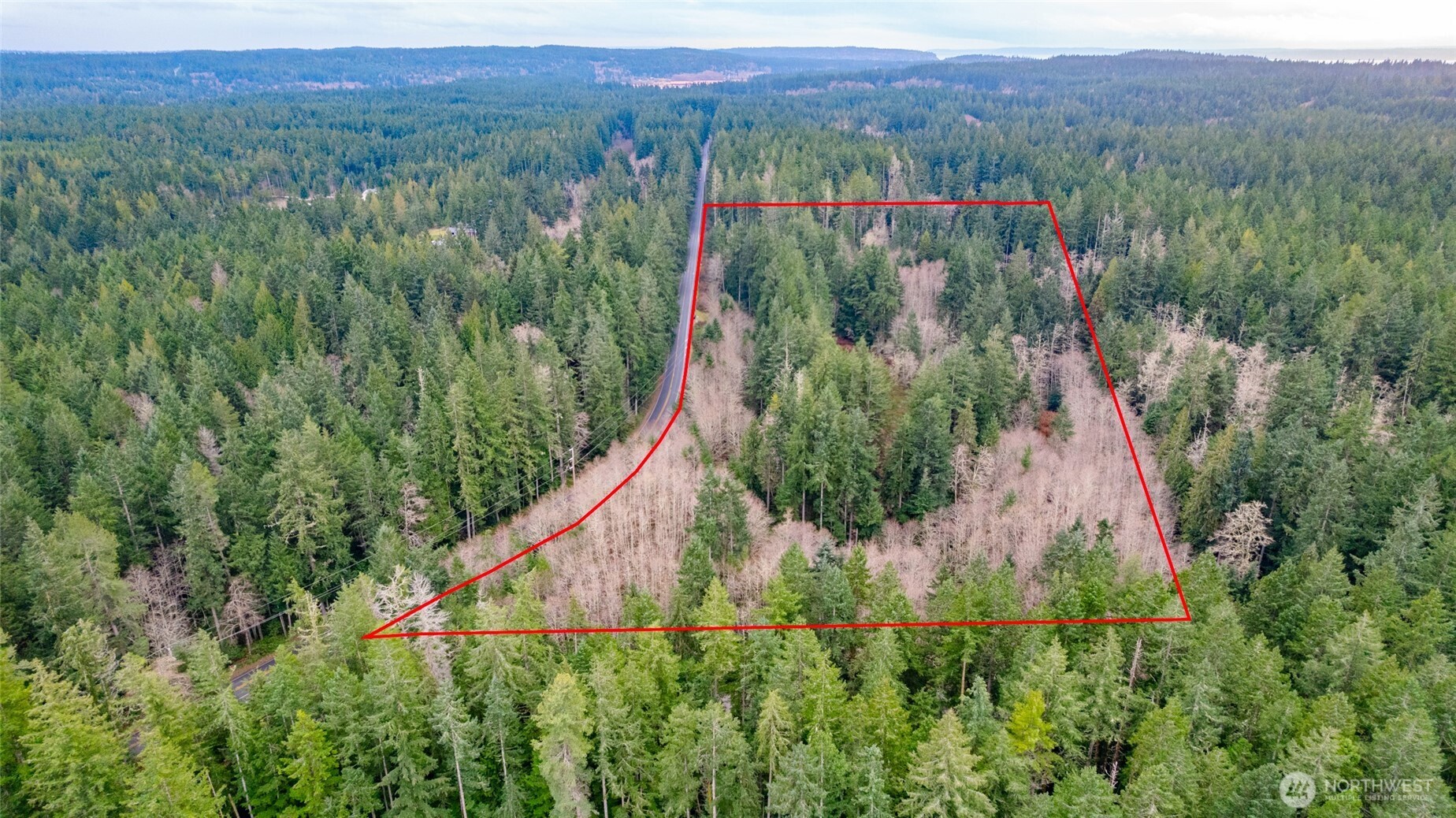 -xxx Coles Road Langley, WA 98260 - Photo 3 of 6 a view of a lush green forest with a lake and trees all around