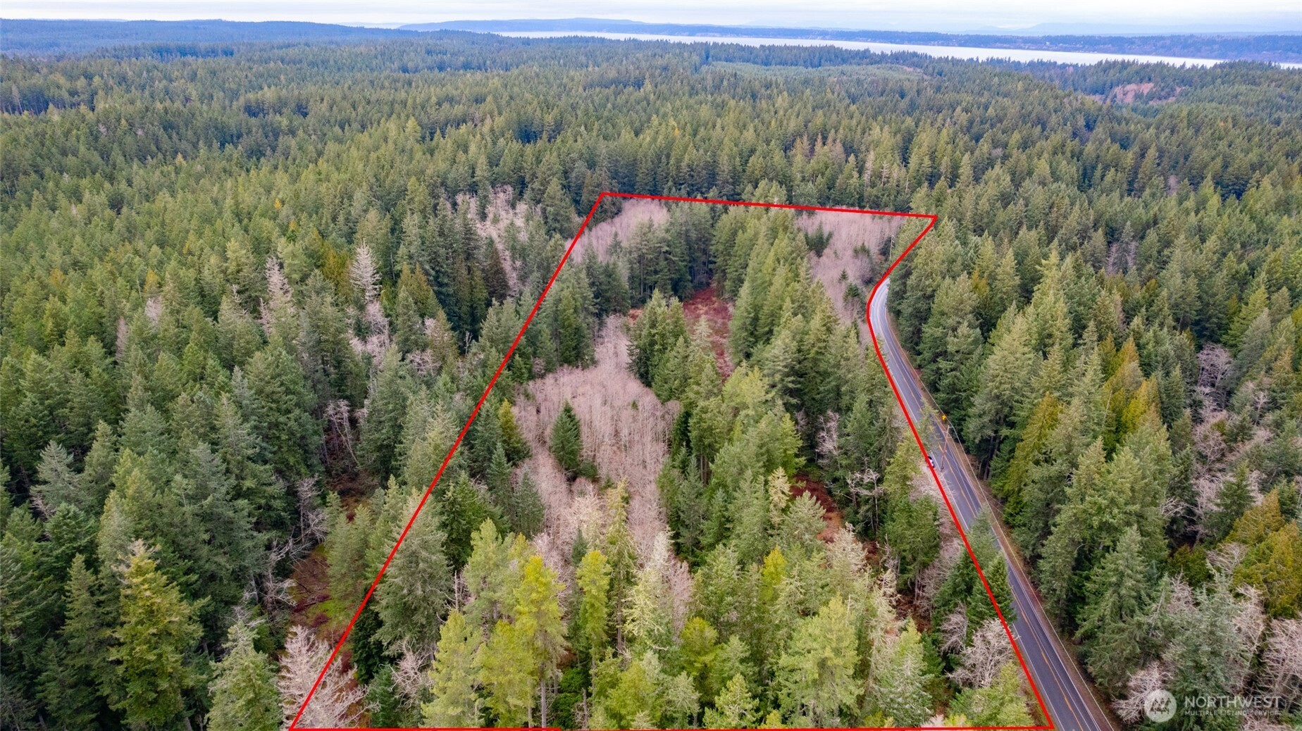 -xxx Coles Road Langley, WA 98260 - Photo 4 of 6 a view of a lush green forest with trees and a houses